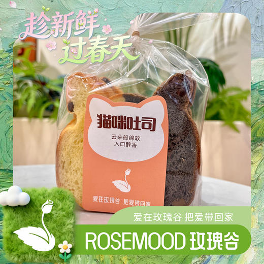 猫咪吐司 商品图0