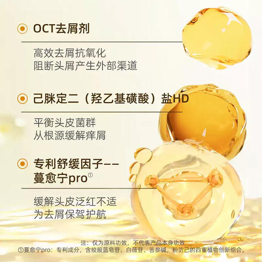 菲诗蔻臻萃生姜丰盈洗发水450ml 商品图2