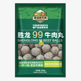 胜龙 牛肉丸250g*2包 清新禾云牧场新鲜出品