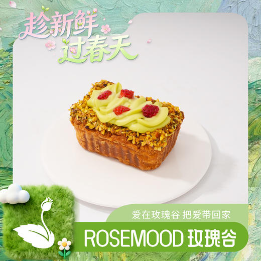 开心果挞挞 商品图0