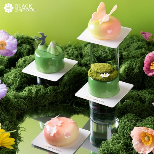 50人套餐：1磅芭乐抹茶莓莓 +拾春纪8粒装*2 + 九宫格慕斯杯*2+轻蛋糕（9个装）*2（限深圳配送） 商品图2