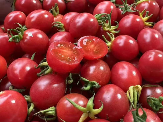 【周四到超好吃】蛙语樱桃小番茄 高糖度，脆甜口，高vc，采用进口品种 匠心种植。纯纯一堆糖豆子，好吃到停不下[色][色] 商品图2