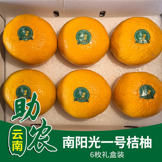 南阳光一号桔柚 商品图0