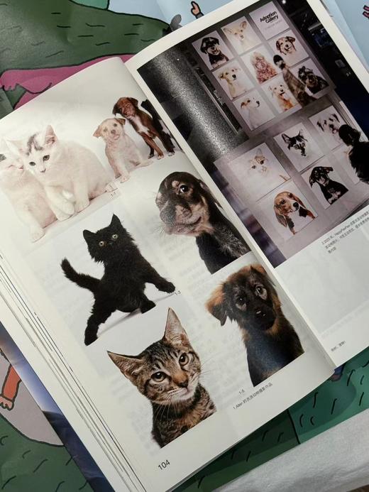 四开03 你好，宠物！ 商品图5