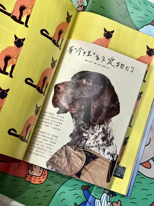 四开03 你好，宠物！ 商品图2
