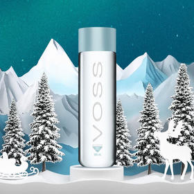 挪威进口 Voss 芙丝饮用天然泉水（深层自流）500ml