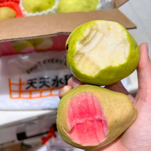 奶油芭乐+红心芭乐 树熟采摘更软糯更香甜 商品图2