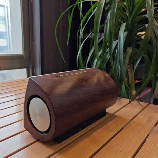 欧洲品质 neon BTS500 原木高端制造 桌面HIFI无损蓝牙音响  neon代表产品 商品图8