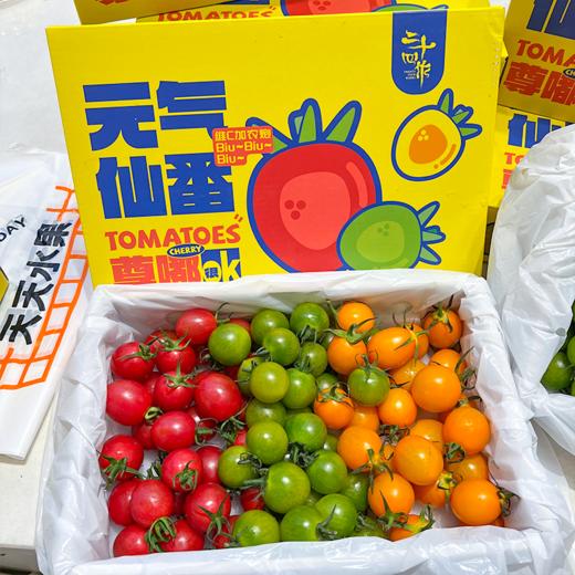 双色千禧番茄 红+黄 两种口味一起拥有 商品图5