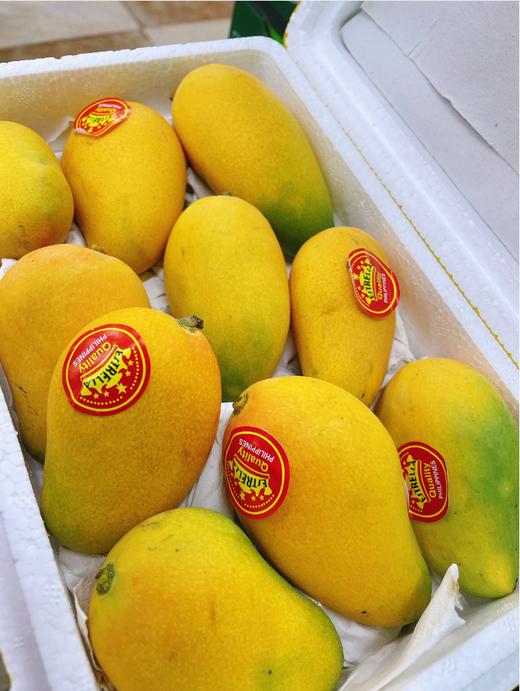 小台芒一箱 商品图0