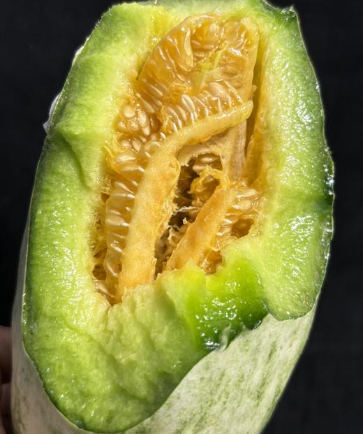  山东脆蜜流金小甜瓜/头茬 商品图1