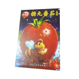 【日配鲜食】樱桃番茄整箱 净果约2斤  脆甜爆汁 满满维C（下单后三日内提配）