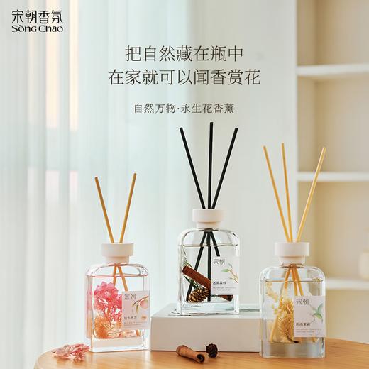 宋朝自然万物系列升级版无火香薰 商品图5