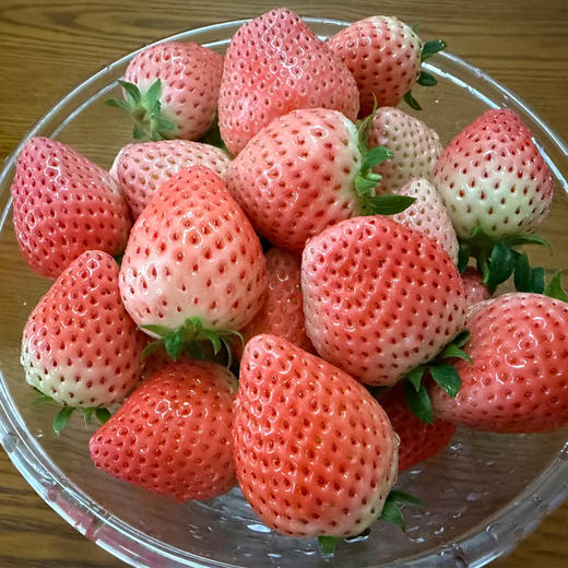 白草莓500g/盒（当天现采，粉糯香甜） 商品图1