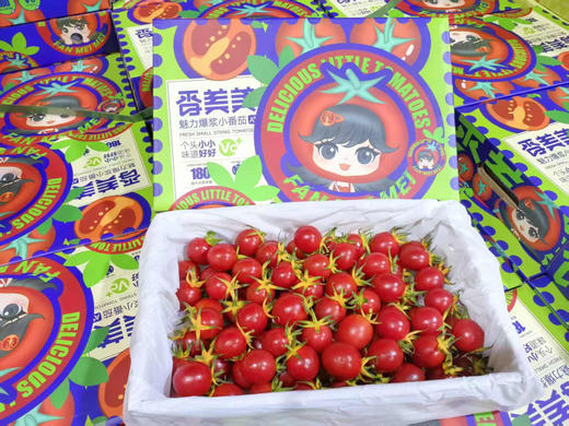 【周四到超好吃】蛙语樱桃小番茄 高糖度，脆甜口，高vc，采用进口品种 匠心种植。纯纯一堆糖豆子，好吃到停不下[色][色] 商品图3