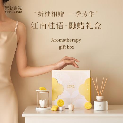 宋朝融蜡礼盒 商品图0