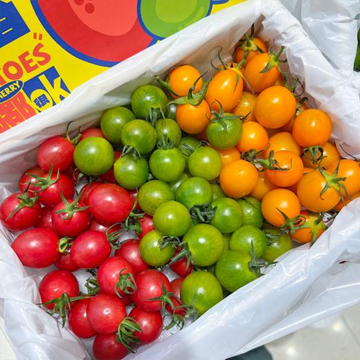 双色千禧番茄 红+黄 两种口味一起拥有 商品图11