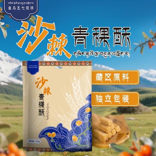 沙棘青稞酥，添加沙棘、青稞、油莎豆，干净健康营养小零食 商品图0