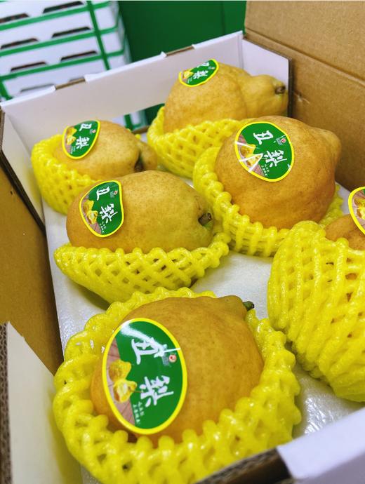 丑梨一箱 商品图2