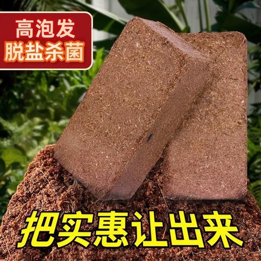 高泡发椰砖营养土椰糠种菜养花通用型肥料 商品图1