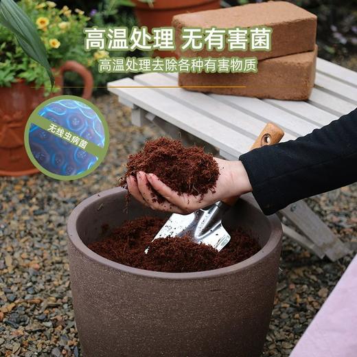 高泡发椰砖营养土椰糠种菜养花通用型肥料 商品图3
