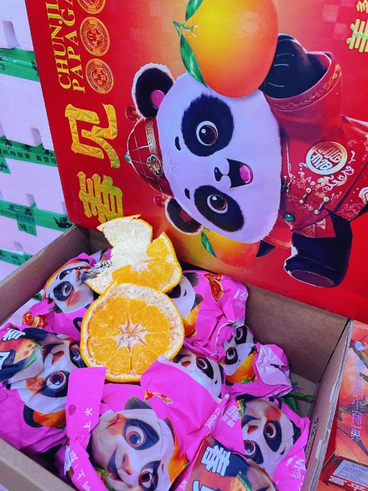 春见丑橘礼盒 商品图0