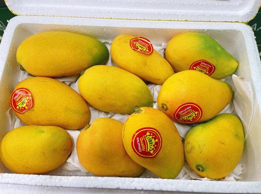 小台芒一箱 商品图2