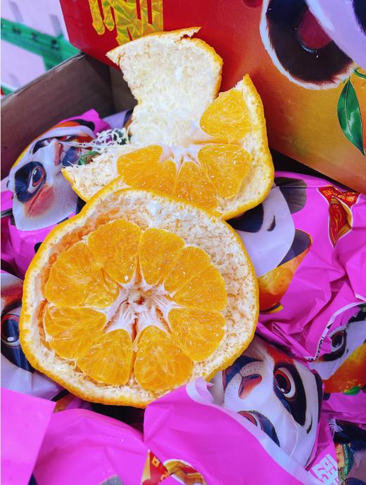 春见丑橘礼盒 商品图1