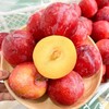 新鲜水果 皮薄肉厚粉红李  500g（称重退差，多退少补） 商品缩略图0