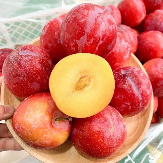 新鲜水果 皮薄肉厚粉红李  500g（称重退差，多退少补） 商品图0