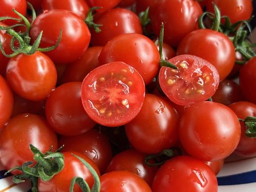 釜山88玲珑小番茄 商品图3