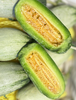  山东脆蜜流金小甜瓜/头茬 商品缩略图6
