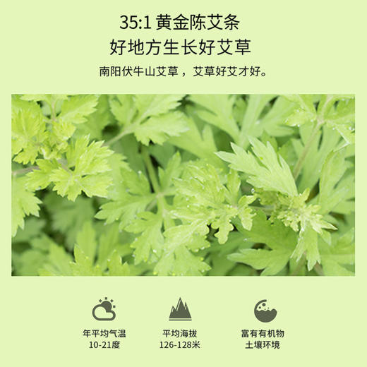 正安 黄金艾条(35:1)增强版 南阳伏牛山灸而不燥不掉灰 艾草艾叶纸艾条阳气 阳虚久吹空调着凉小朋友体弱者 悬艾灸专业艾灸温敷用品 黄金艾条增强版*6根/盒 商品图1