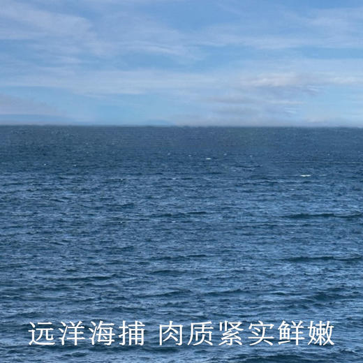 南食召 本真沙丁鱼罐头 商品图2