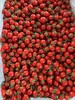 釜山88玲珑小番茄 商品缩略图2