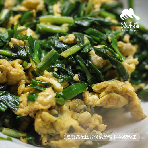 生态韭菜（山东）| 合作生产*​Ecological Chinese chives| Partner Production 商品图3