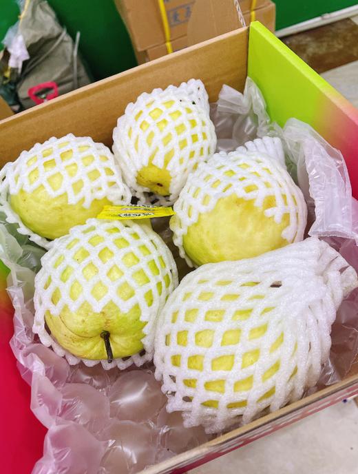 奶油芭乐一箱 商品图2