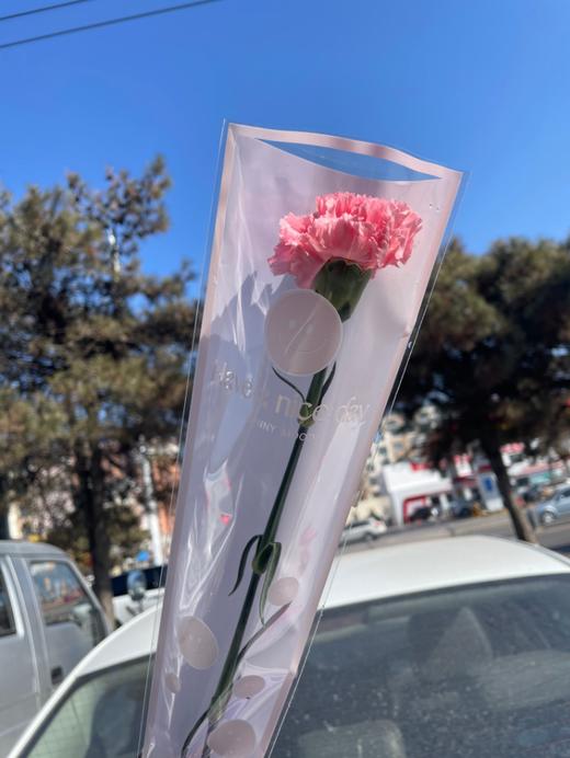 单枝康乃馨3枝 商品图1