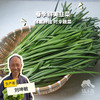 生态韭菜（山东）| 合作生产*​Ecological Chinese chives| Partner Production 商品缩略图0