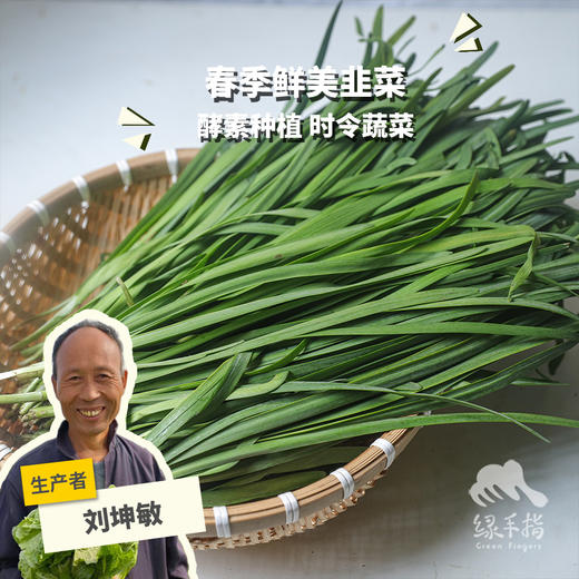 生态韭菜（山东）| 合作生产*​Ecological Chinese chives| Partner Production 商品图0