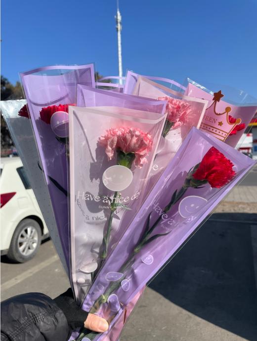 单枝康乃馨3枝 商品图3