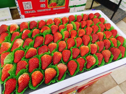 蓝胶带6排草莓一箱 商品图1