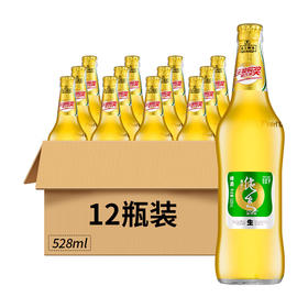 珠江啤酒 特制纯生9°P啤酒 528ml/1瓶/6瓶/12瓶