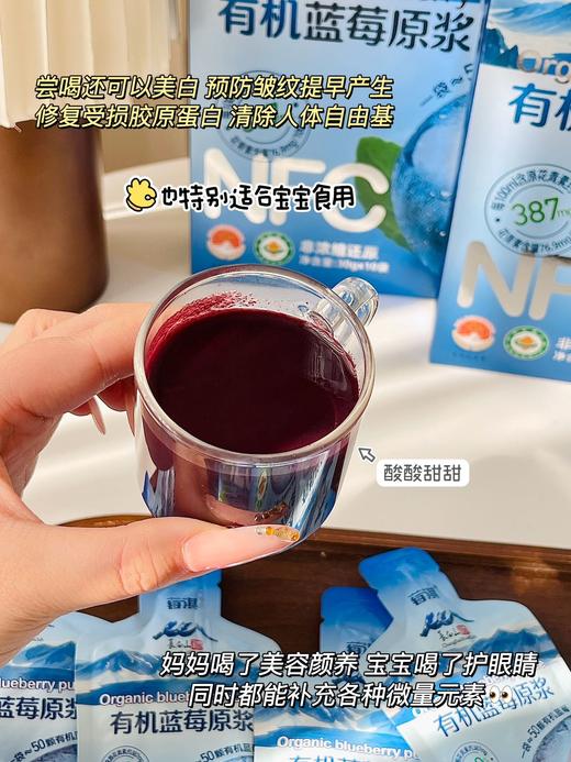 有机蓝莓原浆30g*10袋 商品图3