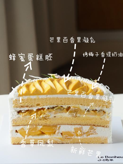 海岛风情·奶油蛋糕 商品图2
