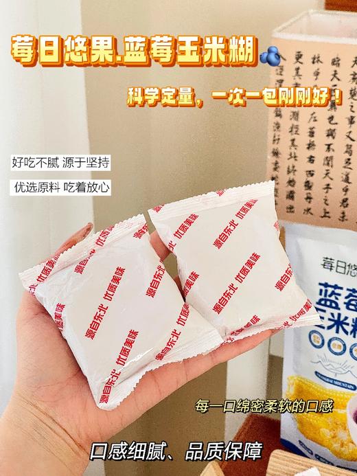 蓝莓玉米糊400g 商品图3