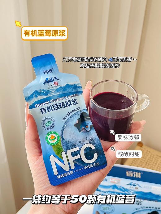 有机蓝莓原浆30g*10袋 商品图1