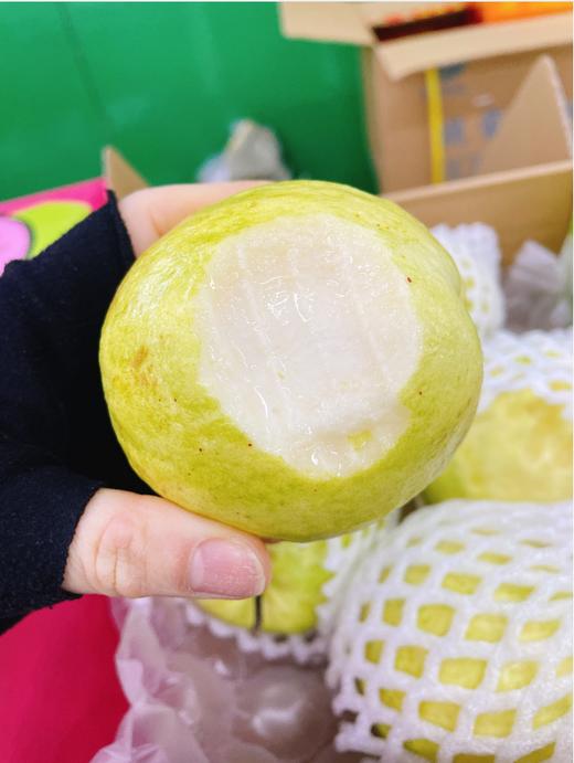 奶油芭乐一箱 商品图1