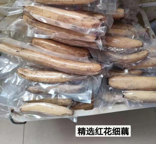 【珍品，开红莲花深泥的细莲藕】一年仅售这一季，错过再等一整年！五十年前老品种超粉糯莲藕 商品图6