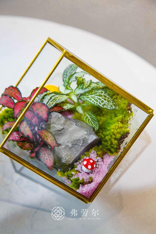 微景观小 商品图1